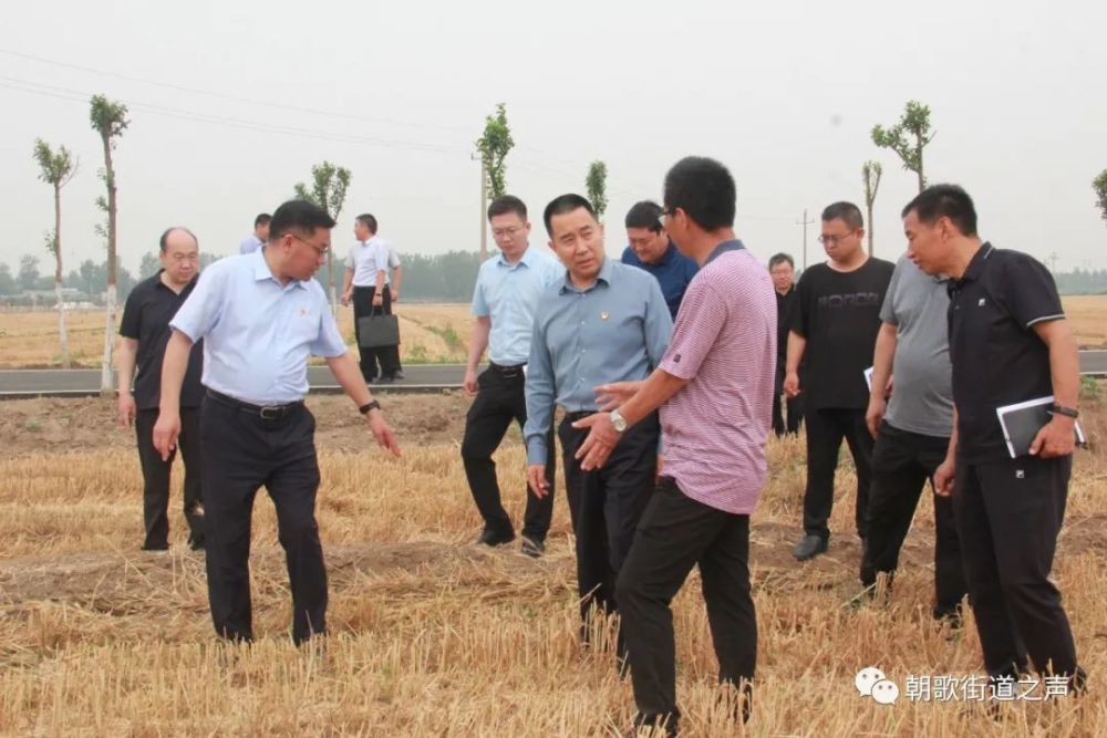 郭浩市长到淇县朝歌街道调研三夏工作