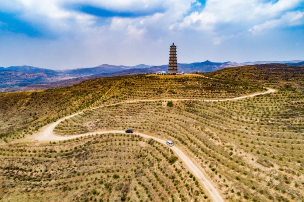 专栏奋斗百年路启航新征程走进林区看巨变太岳篇