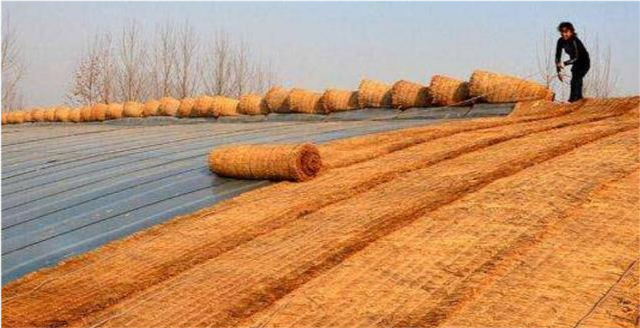大棚草衫是怎样卷的?人工与机械设计差异很大,没有经验的还真搞不定