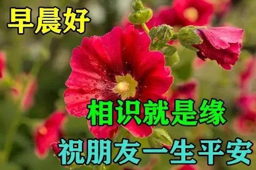 3月25日群發清晨早上好問候祝福動態表情圖片早安問候語及暖心的話