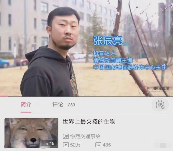 狐主任,原名张辰亮,本职工作是《博物杂志》副主编:我们的～狐主任!