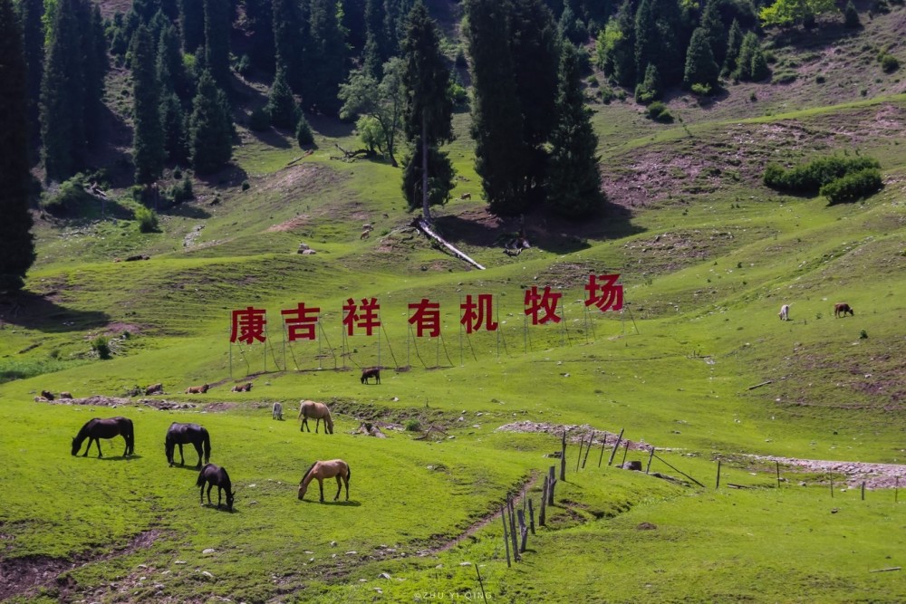 <b>来库尔德宁游玩最好的建议就是自驾游</b>