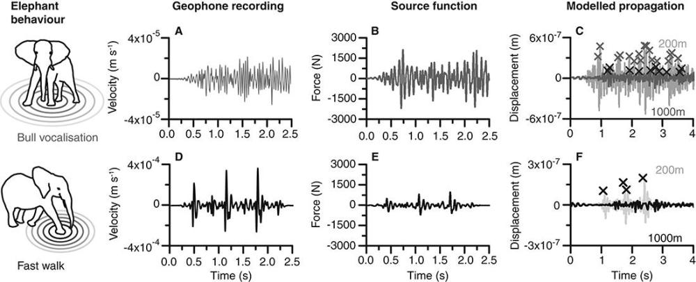 1级地震,距离震中30公里的象群会发出预警吗?