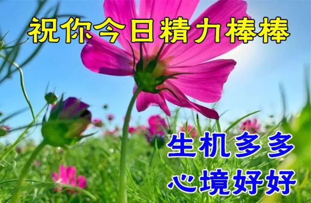 9月22日最新早上好动态表情图片大全 早上好问候语句子 人才