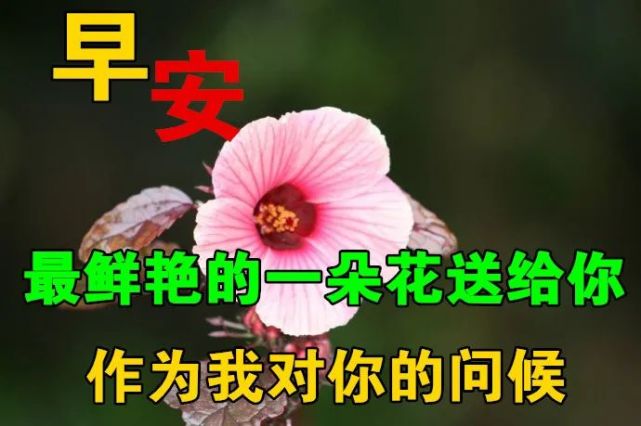 9月22日最新早上好动态表情图片大全 早上好问候语句子 人才