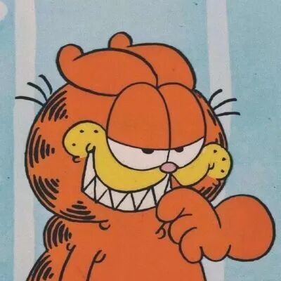 今日头像加菲猫