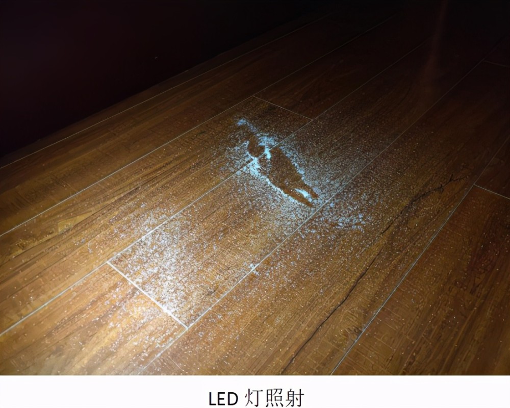 当地板上被撒上了一些细密的灰尘(实际是食用盐)时,在普通室内灯光