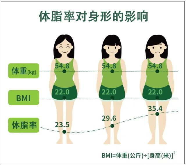 一个冷知识 你的 体脂率 可能比猪还高 腾讯新闻