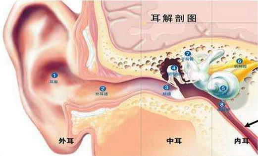 3歲男童耳朵不舒服醫生取出的東西讓人覺得不可思議