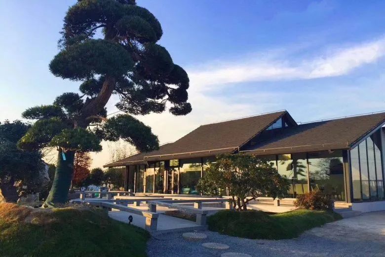 庭院造景 还得看 树 的气场 种这些树就对了 腾讯新闻