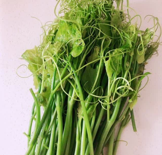 蒜蓉佛手瓜苗家常快手菜很脆爽哦