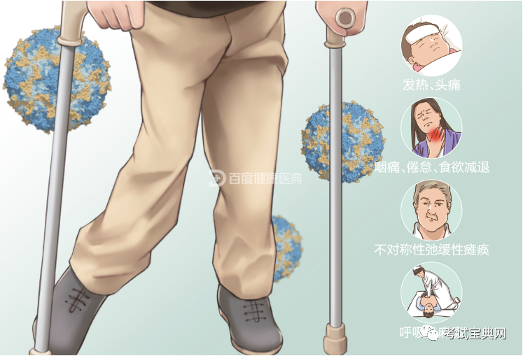 病毒感染脊髓灰质炎poliomyelitis