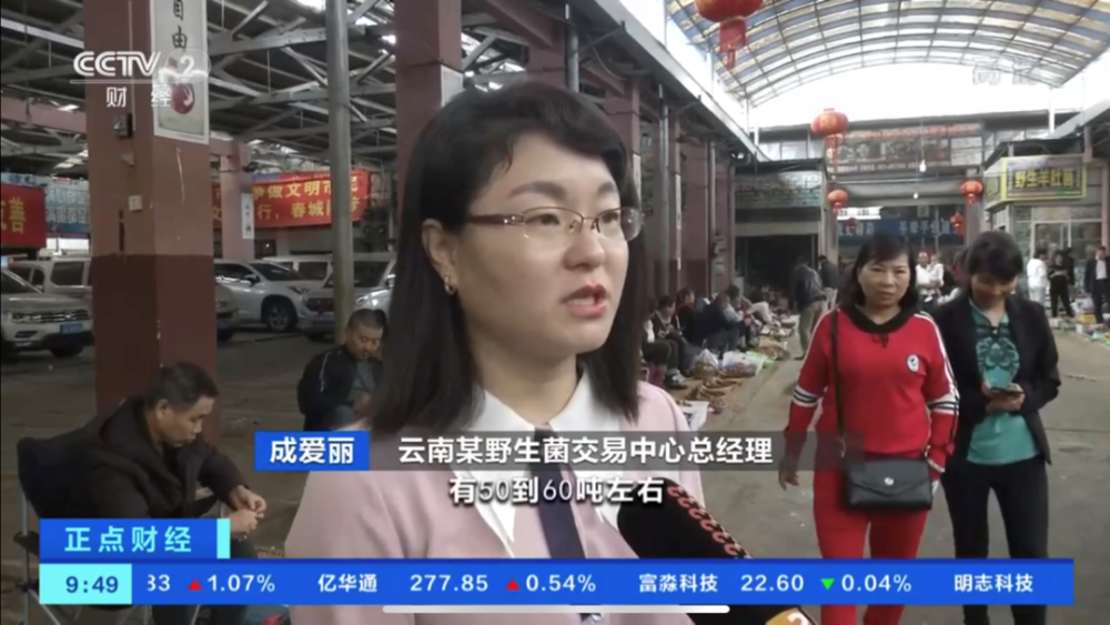 野生菌排行_火爆!野生菌价格一路飙涨!有的卖到1300元1公斤