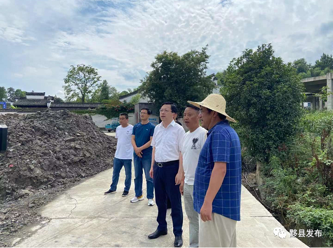 叶建强到宏村镇督查重点项目