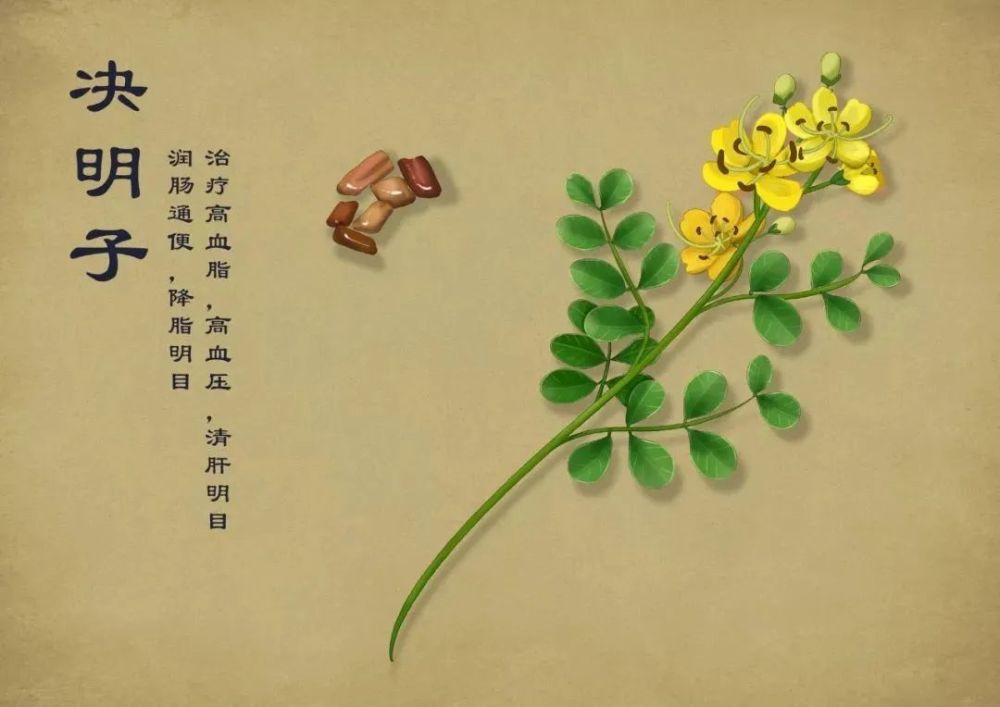 在农村,种植项目怎么选?这5种药材种植产量高,市场广,值得干