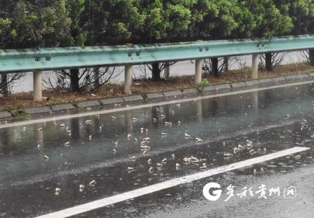 高速公路出现大量螺丝钉路政员冒雨徒手清理 爆胎杀手 腾讯新闻