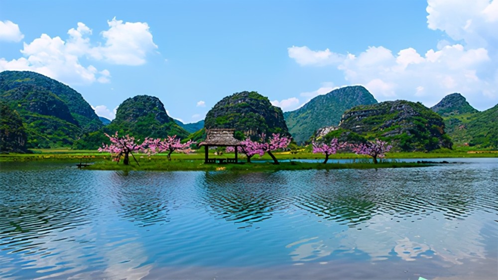 端午去哪耍世外桃源坝美南国草场云南文山来渝推介多条精品路线