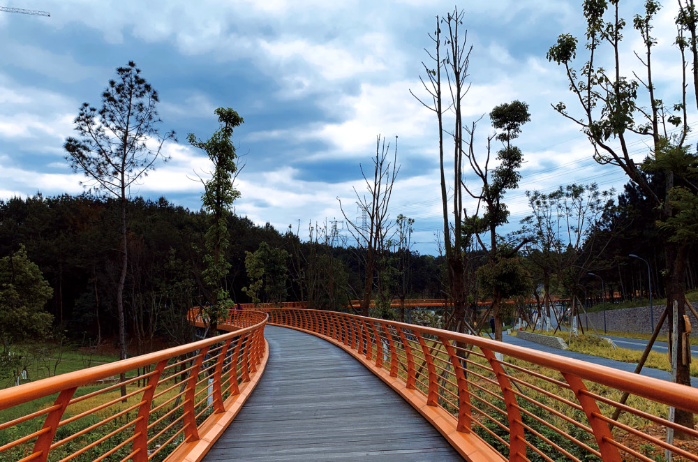 打卡四川成都永安湖城市森林公园生态环境好特别适合养老
