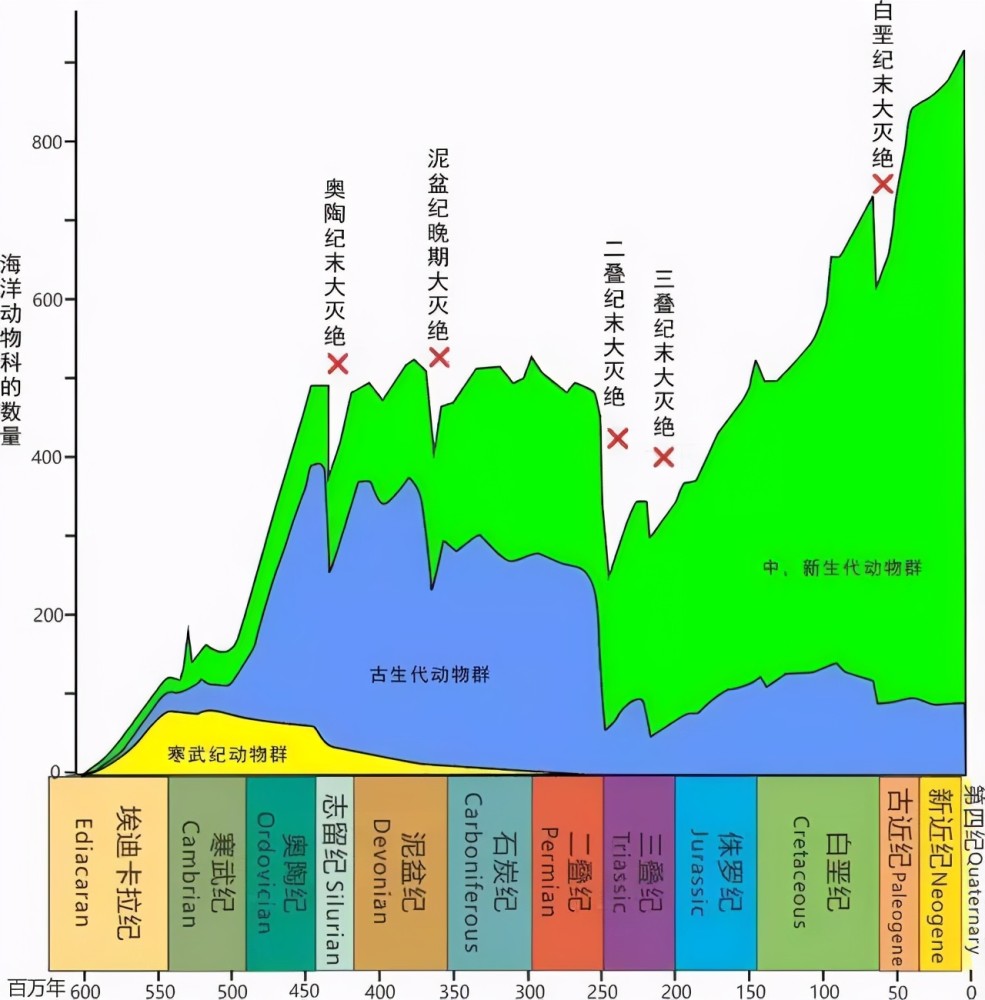 4亿年里,地球平均每隔6200万年前就会经历一次物种灭绝,而现如今距离