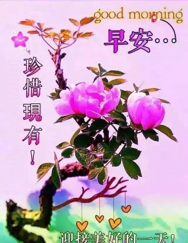 身体健康早上好漂亮图片，祝好友早上好的祝福语腾讯新闻 7170