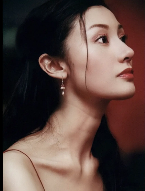 李嘉欣是真女神脸型,眼睛,嘴巴,头发无一不美,特别是鼻子鼻梁高,鼻尖