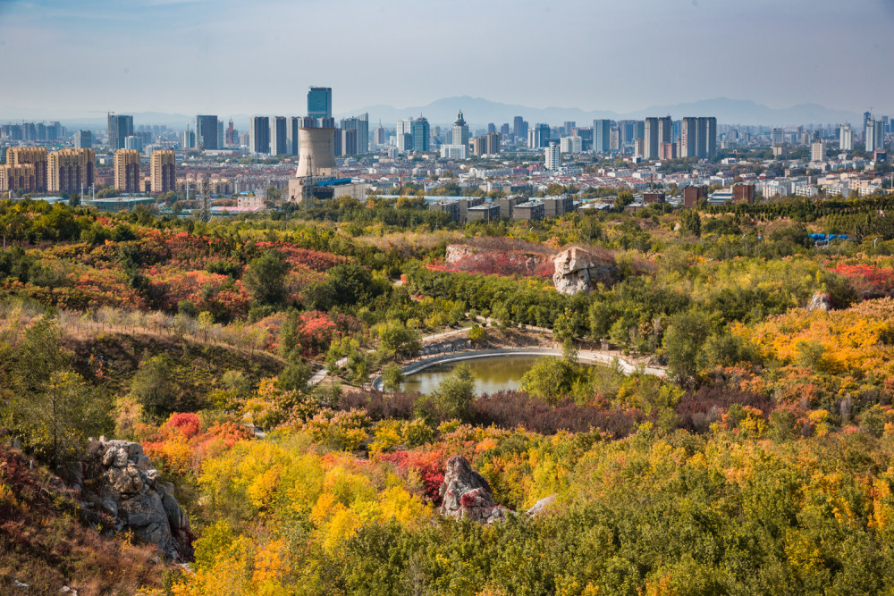 城市时代之山东:亮点和短板同样突出,16座