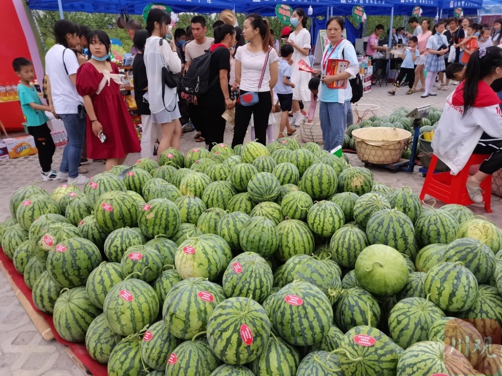 西瓜嘉年华来啦第九届自贡九洪西瓜节开幕