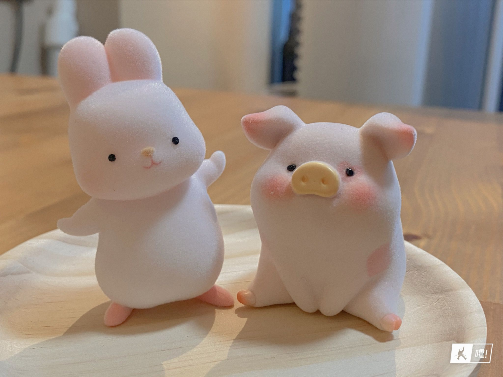 然后迅速和猪猪们打成一片了"摸摸兔和lulu猪真的太般配了哈哈哈哈"