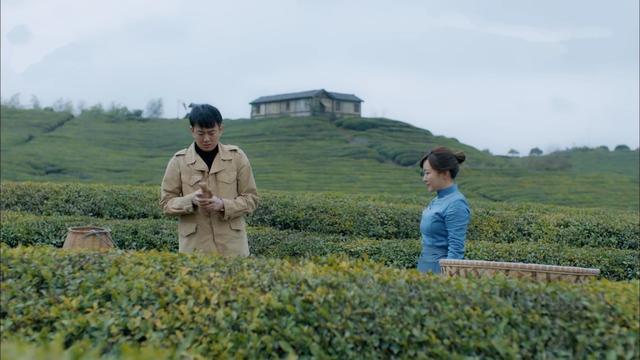 温暖的味道大结局海棠成为新一任村长而他的下场却很惨
