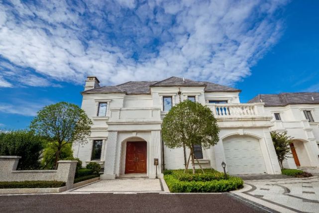 粽意仙海情,端午合家欢