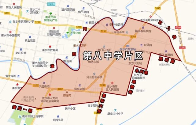 衡水市中小学片区划分汇总(2021版)