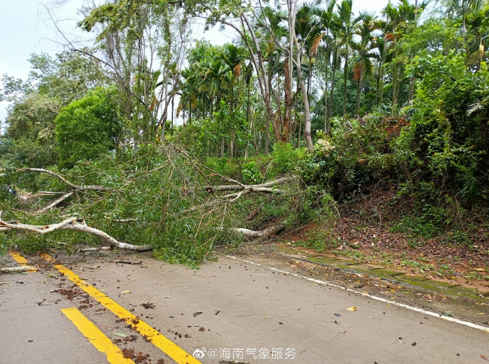 南海熱帶低壓加強為颱風小熊未來幾天海南被雨水承包了