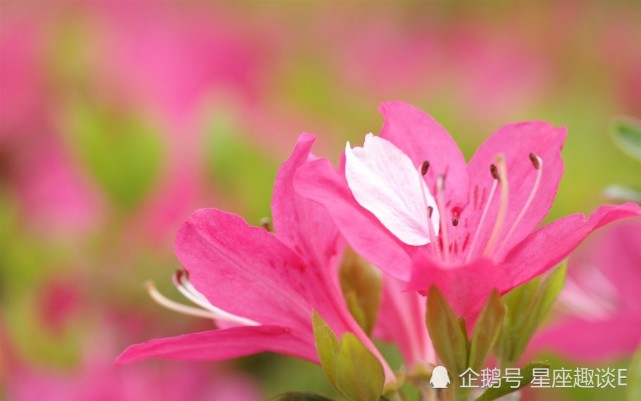 6月13日星座运势 思路清晰 节节攀升的四大星座 腾讯网