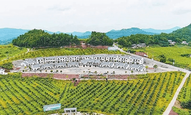 渠县万寿镇灵感社区创新12n产业发展模式助力乡村振兴