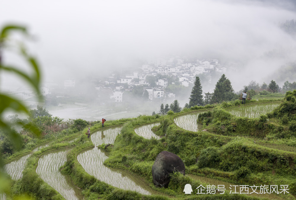 江西婺源江岭万亩梯田美如画
