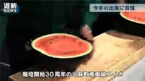 世界上最贵的西瓜 日本densuke黑皮西瓜6100美元 腾讯网
