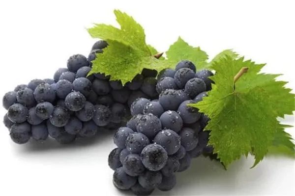 胃寒吃10种水果暖胃这些暖胃水果你还不知道吗