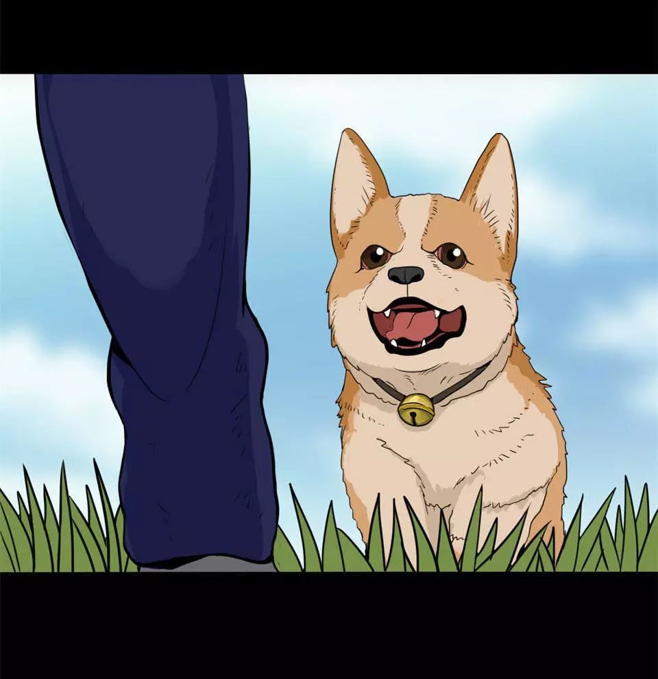 人性恐怖漫画恶犬被核污染的狗狗有多可怕