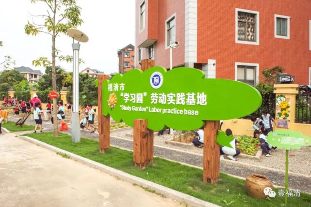 劳动实践基地学校为孩子们开辟了一块田地在福清市霞楼小学才能有切身