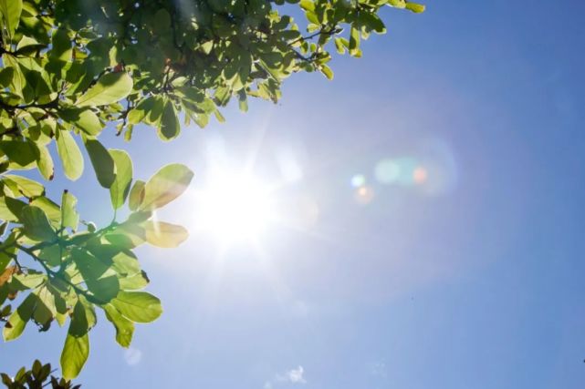 夏天最美的瞬间,都藏在诗词里,吹着温热的晨风,听着惬意的鸟鸣,最美的