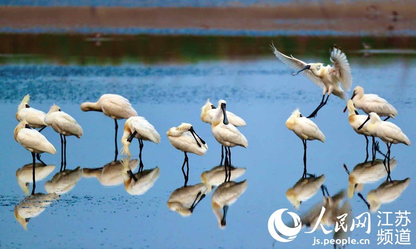 市人民政府联合主办的2021全国"文化和自然遗产日"主题活动在盐城召开