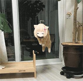 表情包|喵田弥夜miya