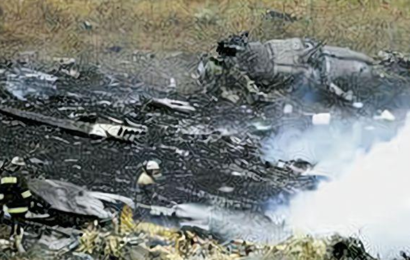 1994年空难事件图片
