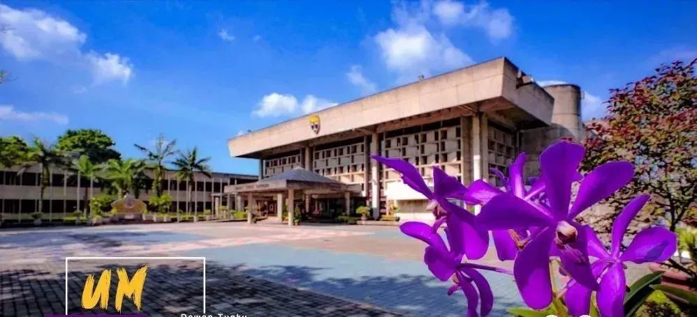 世界大学排行榜2017_汉堡大学排名是多少|选校|世界大学排名|获得者_网易订阅