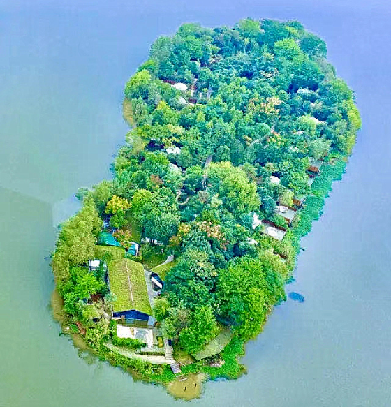 抬头看到星空,放眼尽是绿野……宁乡这个网红地,惊艳了时光!