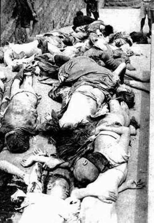 日寇在湖北随县(今随州市)淅河镇金屯乡杀人放火的一些真实事例