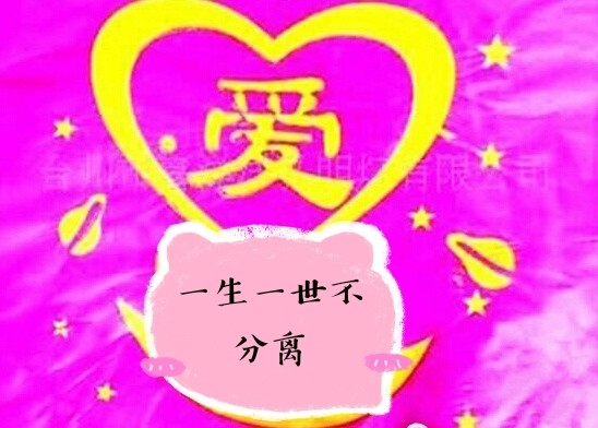 真爱一生不变,相思永无止境;一朝执手百年盈香,此情终身不负