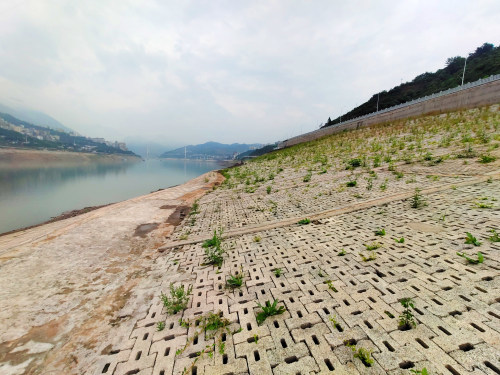 已完成工程量50巴东长江北岸库岸护坡施工正酣