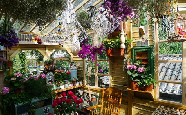 做完咖啡馆的时候,珍珍还没决定嫁给他,直到走进这个花房.