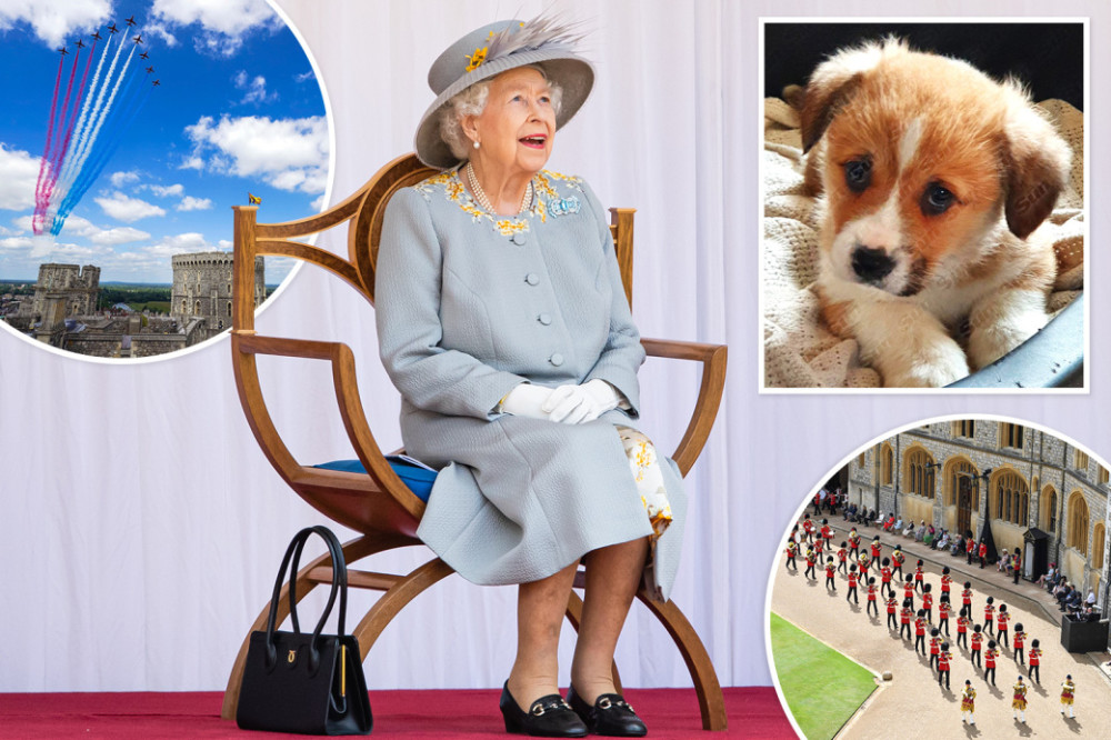 丧夫后,一只新来的小狗令95岁英女王脸上绽放笑容,看看小狗吧